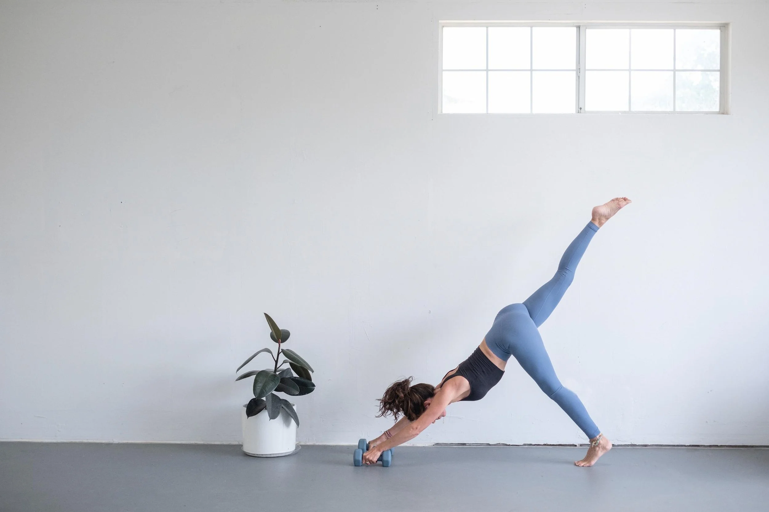 Lisa Corsello Wellness Remote Fitness and Therapy